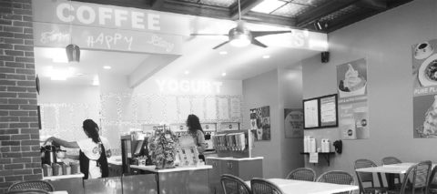 Yo-Joe's yogurt shop