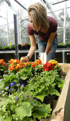 Senior horticulture major Emily Balder is conducting independent florticulture research.